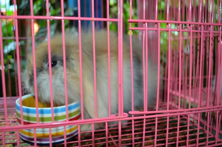 nEO_IMG_DSC_0054.jpg