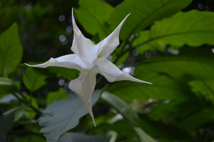 nEO_IMG_DSC_0216.jpg