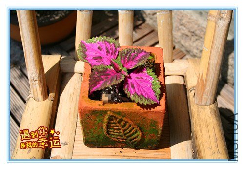 ��Ƭ 188_����.jpg