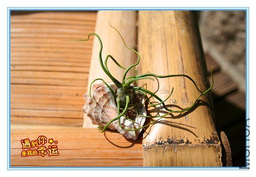 ��Ƭ 231_����.jpg