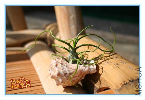 ��Ƭ 232_����.jpg