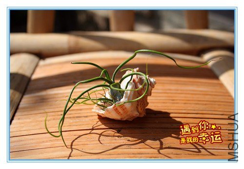 ��Ƭ 233_����.jpg