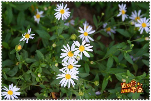 ��Ƭ 245_����.jpg