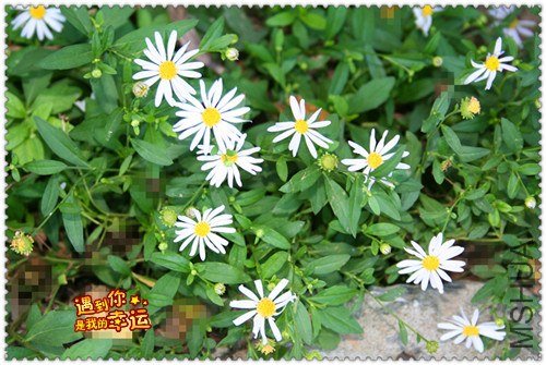 ��Ƭ 247_����.jpg