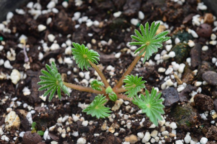 �����20121022  001.JPG