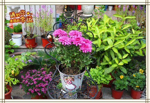 ��Ƭ 060_����.jpg