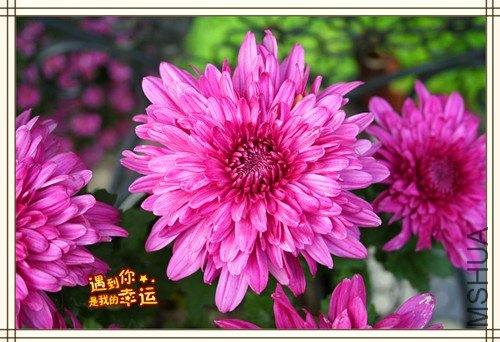 ��Ƭ 064_����.jpg