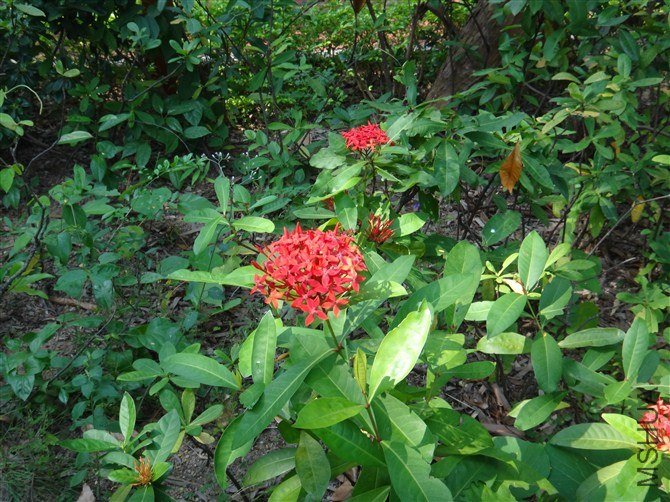 psbCACPX9LK.jpg