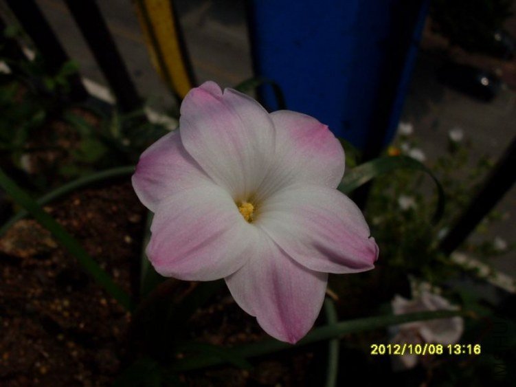 SDC13403_nEO_IMG.jpg