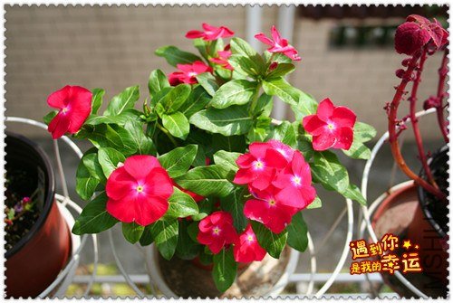 ��Ƭ 157_����.jpg