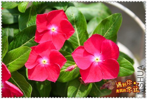 ��Ƭ 159_����.jpg