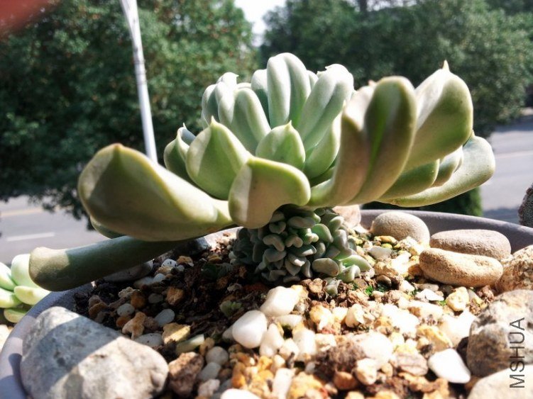 20121026_125502.jpg
