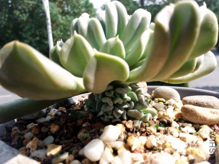 20121026_125524.jpg