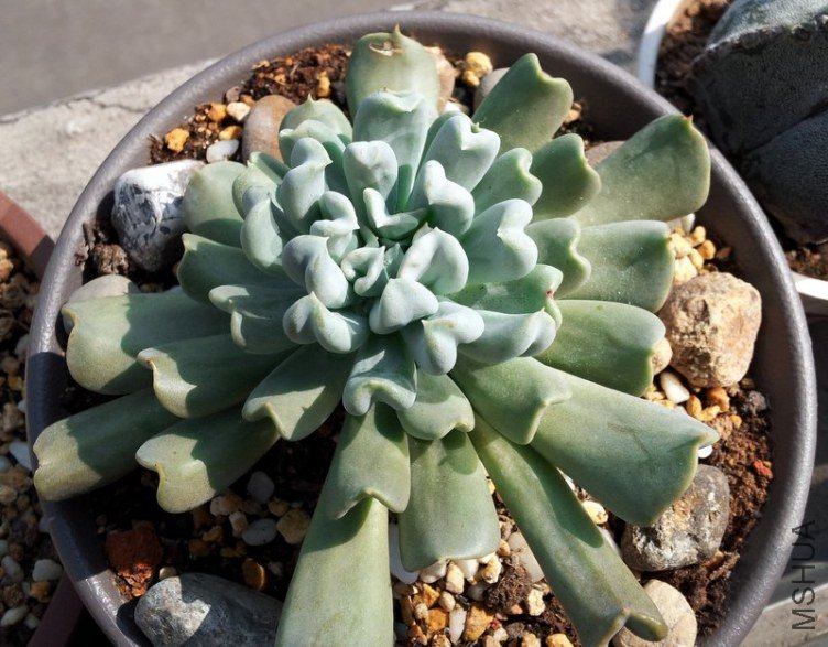 20121026_125534.jpg