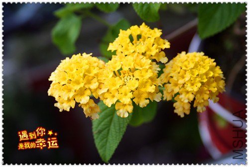 ��Ƭ 170_����.jpg