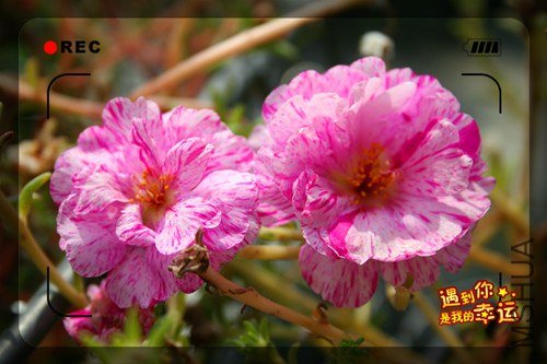 ��Ƭ 171_����.jpg