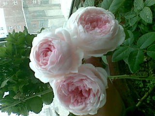 20121026.jpg