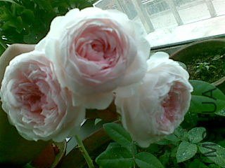 20121026(001).jpg