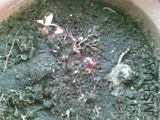 20120219(002).jpg