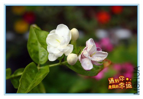 ��Ƭ 086_����.jpg