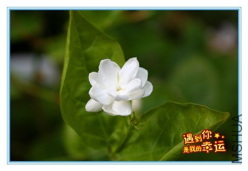 ��Ƭ 088_����.jpg