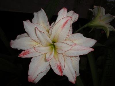 Ů��2010��.jpg