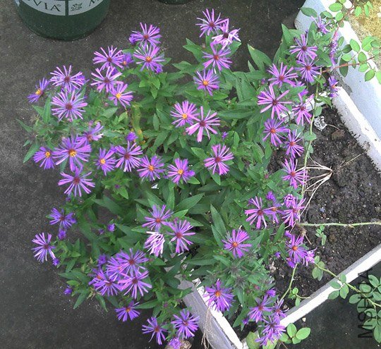 2012-09-23_10-19-24_450.jpg
