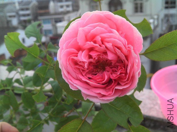 2012-09-10_06-12-51_288.jpg