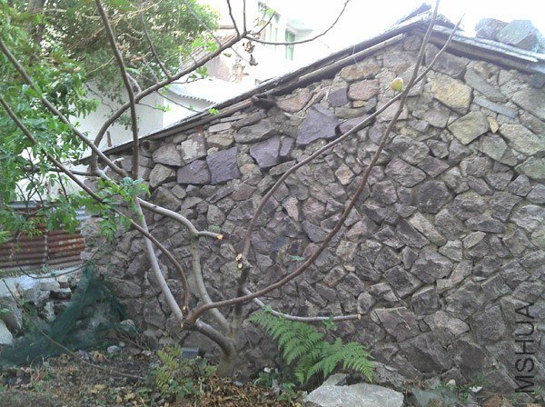 2012-10-21_17-11-39_10.jpg