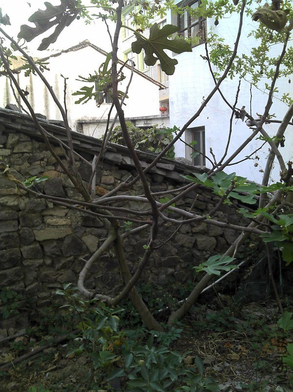 2012-10-21_17-11-32_623.jpg