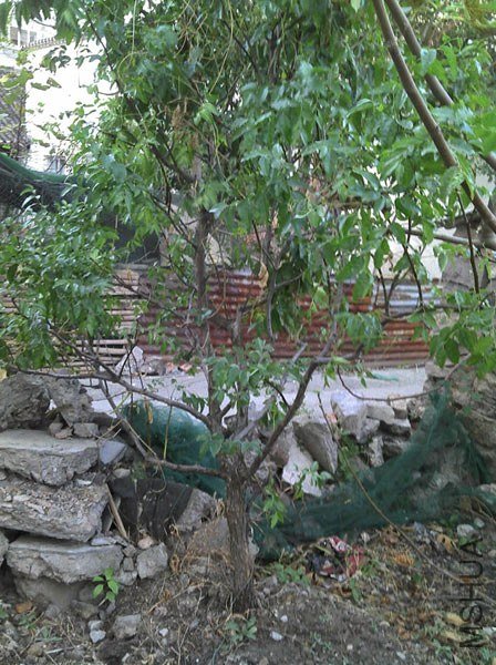 2012-10-21_17-11-02_188.jpg