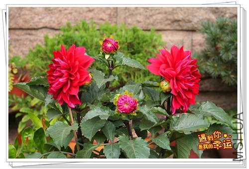 ��Ƭ 090_����.jpg