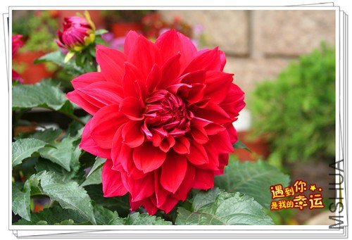 ��Ƭ 091_����.jpg