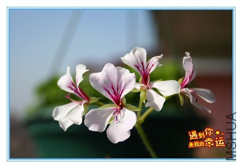 ��Ƭ 038_����.jpg