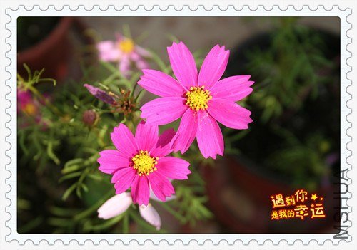 ��Ƭ 016_����.jpg