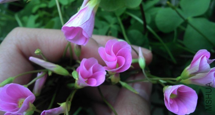 QQ��ͼ20121027121500.jpg