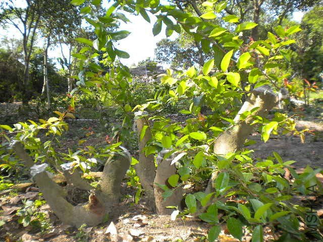 DSCN4364.JPG