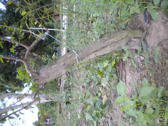 DSCN4393.JPG