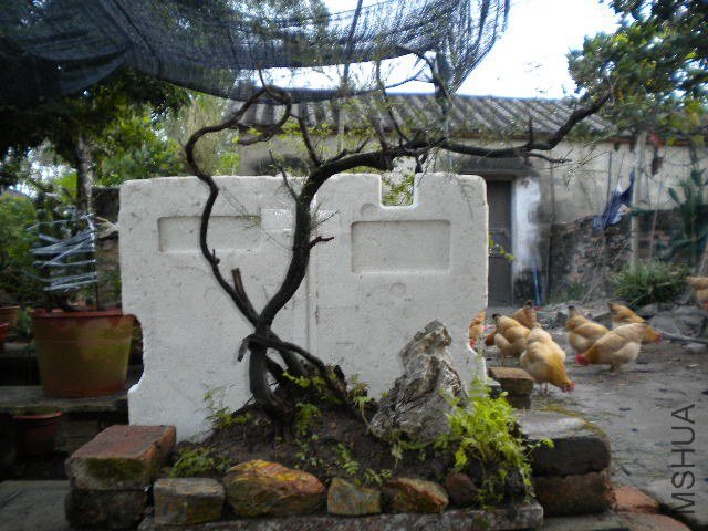 DSCN4438.JPG