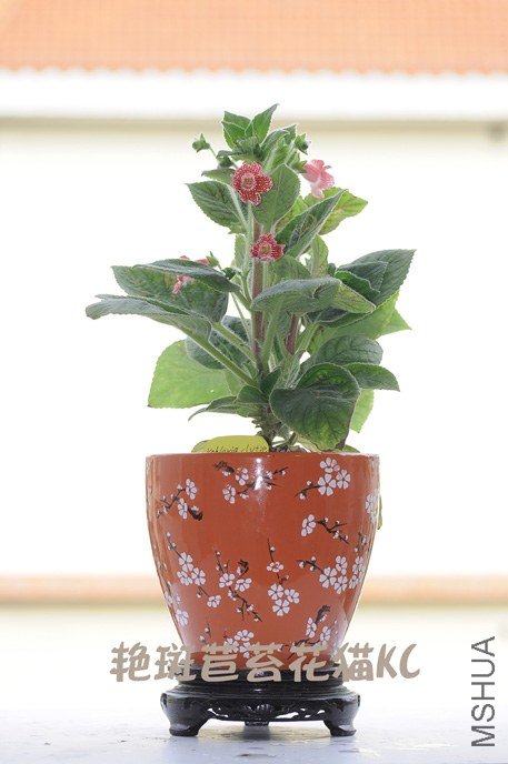 DSC_0221���� ����.jpg