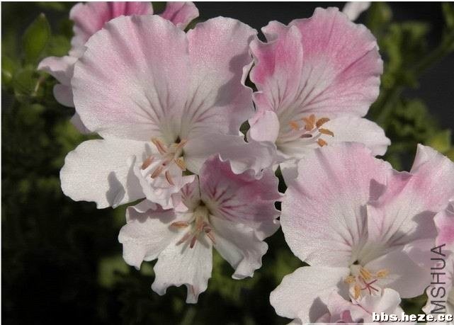 �п�����.jpg
