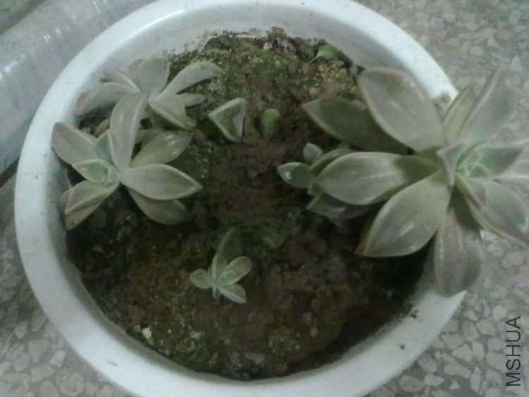 20121028670.jpg