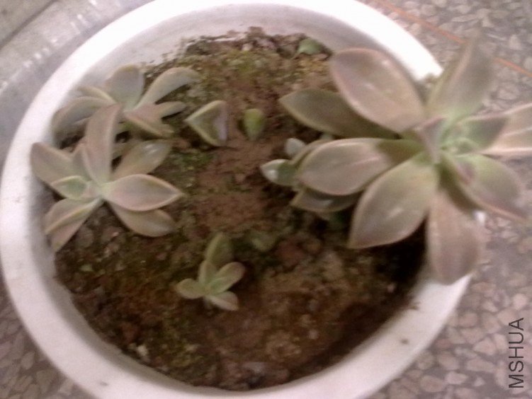 20121028671.jpg