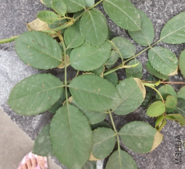 QQ��ͼ20121028133454.jpg