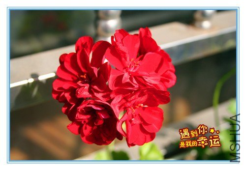 ��Ƭ 021_����.jpg