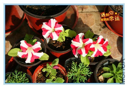 ��Ƭ 065_����.jpg