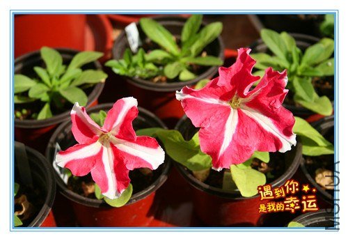 ��Ƭ 069_����.jpg