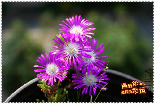 ��Ƭ 071_����.jpg