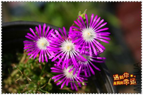 ��Ƭ 074_����.jpg