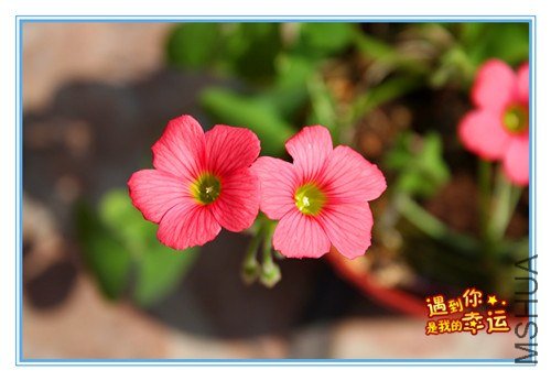 ��Ƭ 092_����.jpg